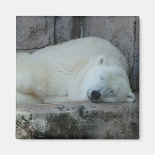 イケベルグの夢 マグネット (正面)