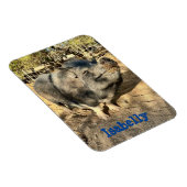 イサベリースミルクマグネット マグネット (右側)