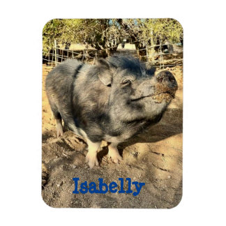 イサベリースミルクマグネット マグネット