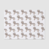 イザベラとタンスムースコートダックスシャンドドッグパターン 薄葉紙 (正面)