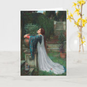 イザベラとバジルのポット カード (黄色い花)