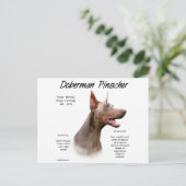 イザベラドバーマンの歴史 ポストカード (スタンド正面)