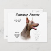 イザベラドバーマンの歴史 ポストカード (正面/裏面)