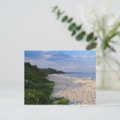 イザベラビーチ- Fishers Island, NY ポストカード (スタンド正面)