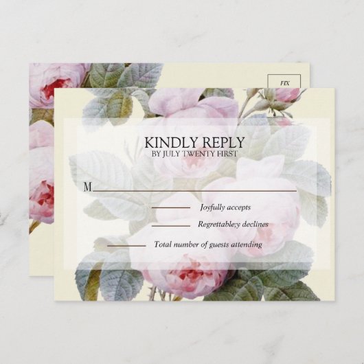 イザベラ2世 ヴィンテージ ローズ RSVP ポストカード (正面/裏面)