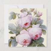 イザベラIIエレガントヴィンテージフランスのバラ (裏面)