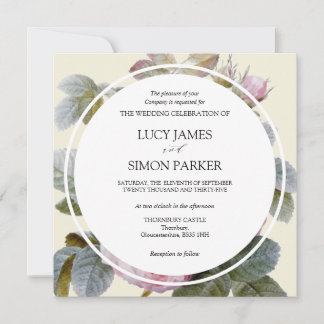 イザベラIIエレガントヴィンテージフランスのバラ