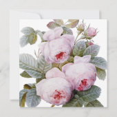 イザベラII、エレガントヴィンテージフランスのバラ (裏面)