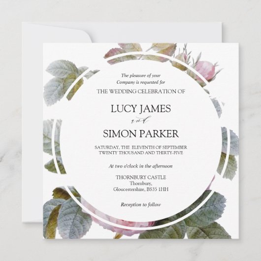 イザベラII、エレガントヴィンテージフランスのバラ (正面)