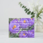 イザヤ書35:1-2 to The Crocus ポストカード (スタンド正面)