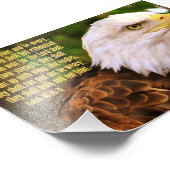 イザヤ書40:30-31ハゲの鷲 フォトプリント            (角)