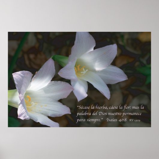 イザヤ書40:8コンリオス ポスター (正面)