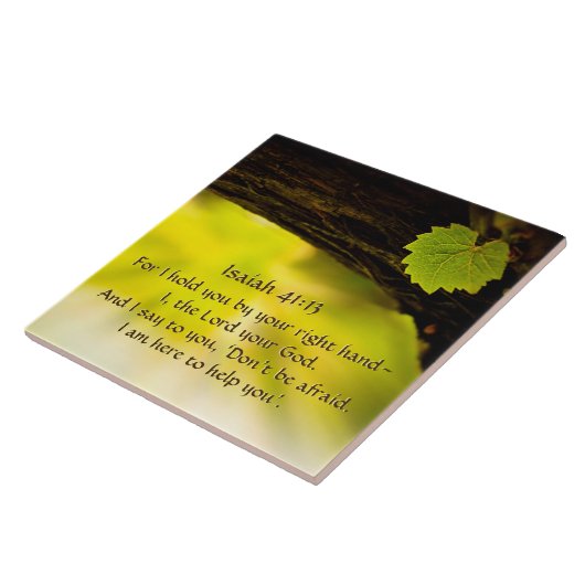 イザヤ書41:13わたしは、あなたがたを右手に持っている – 聖書 タイル (側面)