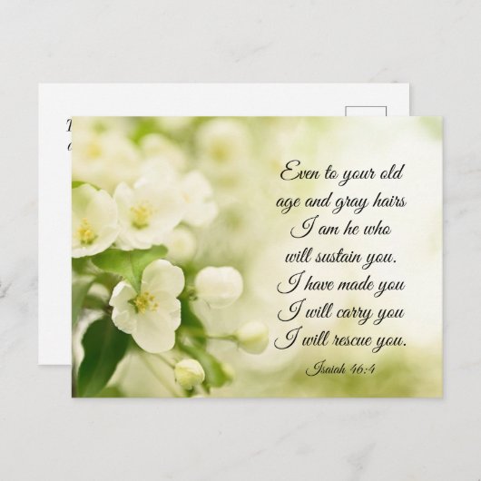 イザヤ書46:4わたしは、あなたがたに花を支える者である ポストカード (正面/裏面)