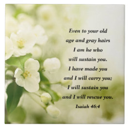 イザヤ書46:4わたしは、あなたがたを支える者である タイル