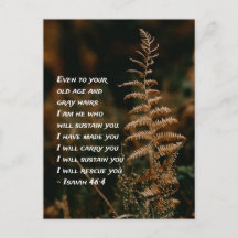 イザヤ書46:4わたしは、あなたがたを支える者である