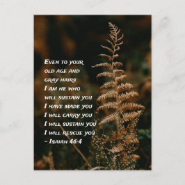 イザヤ書46:4わたしは、あなたがたを支える者である ポストカード