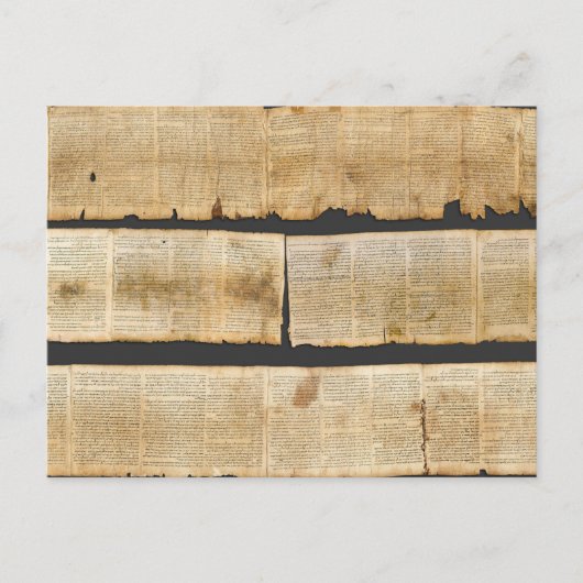 イザヤ素晴らしスクロール死海絵巻1QiSaa ポストカード (正面)