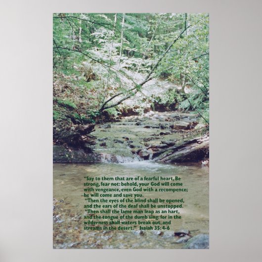 イザヤ35:4-6 ポスター (正面)