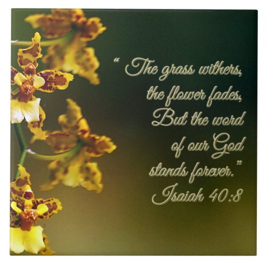 イザヤ40:感動的8 タイル (正面)