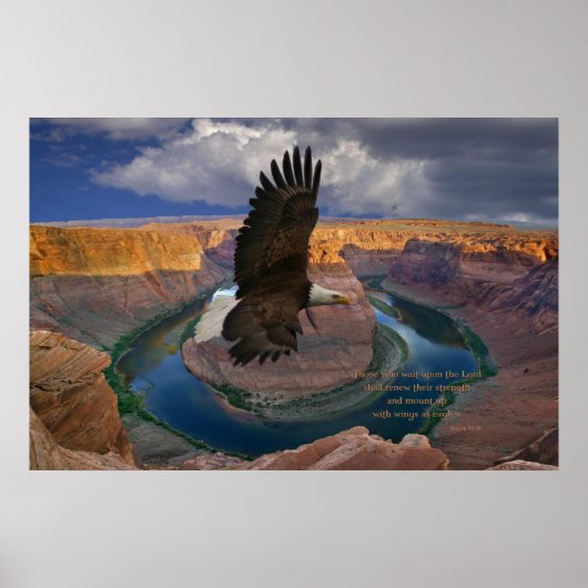 イザヤ40:31聖なる書物、 経典プリント ポスター (正面)