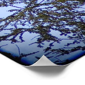 イザヤ40:31 ポスター (角)