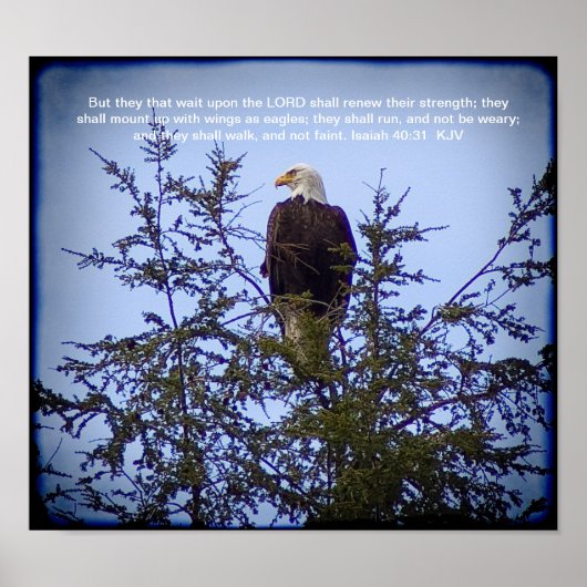 イザヤ40:31 ポスター (正面)