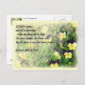 イザヤ40:6...8葉書 ポストカード (正面/裏面)