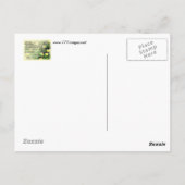 イザヤ40:6...8葉書 ポストカード (裏面)