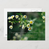 イザヤ40:8草は枯れて枯れる ポストカード (正面/裏面)