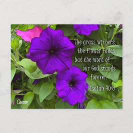 イザヤ40:8 – はがき