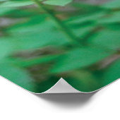 イザヤ40:8 ポスター (角)