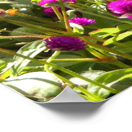 イザヤ40:8 ポスター (角)