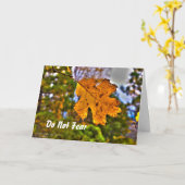 イザヤ41:10勇気付けられる カード (黄色い花)