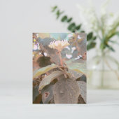 イザヤ41:13 ポストカード (スタンド正面)