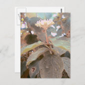 イザヤ41:13 ポストカード (正面/裏面)