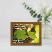 イザヤ43:19聖書の一節新しいことをする ポストカード (スタンド正面)