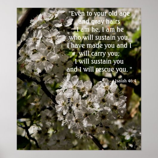 イザヤ46:4ポスター ポスター (正面)