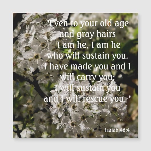 イザヤ46:4 (正面)