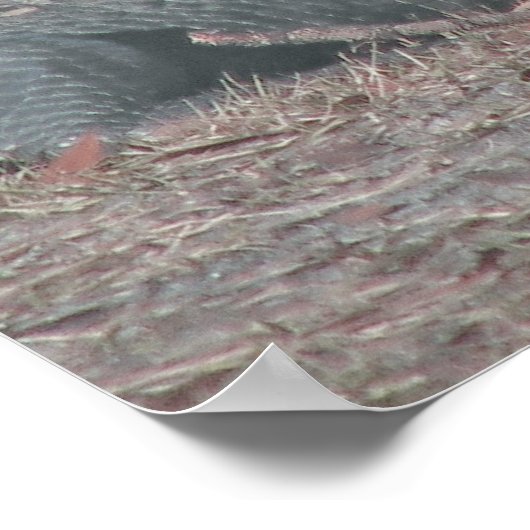 イザヤ54:15-17 ポスター (角)