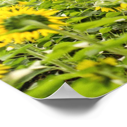 イザヤ60:1あなたの光のために輝きを生まれ来る ポスター (角)