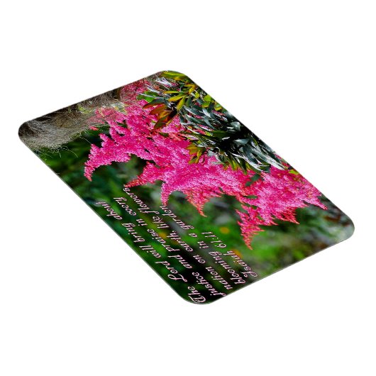 イザヤ61:11ピンクのフローラ 感動的 マグネット (右側)