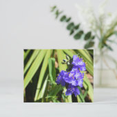 イジ鮮やかヨモギ ポストカード (スタンド正面)