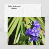 イジ鮮やかヨモギ ポストカード (正面/裏面)