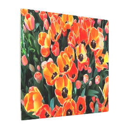 イスタンブールの明るい赤のチューリップ メタルプリント