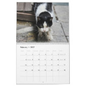 イスタンブールの猫 カレンダー (2月 2027)