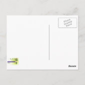 イスタンブールの記憶,ソレイマニイェモスク2 ポストカード (裏面)