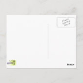 イスタンブール,ソレイマニイェモスクの記憶 ポストカード (裏面)