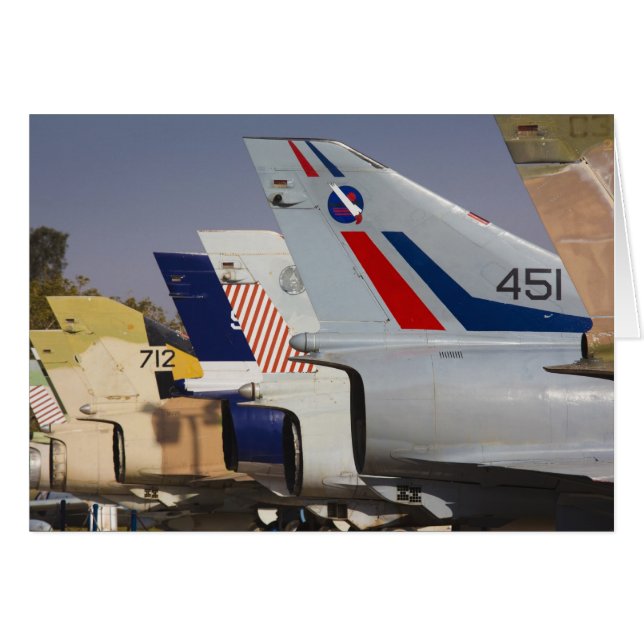 イスラエルで造られたKfir戦闘機 (正面横)