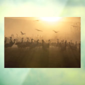 イスラエルのアガモンハフラ湖で鶴の鳥の群れ ウィンドウサイン (シート3)